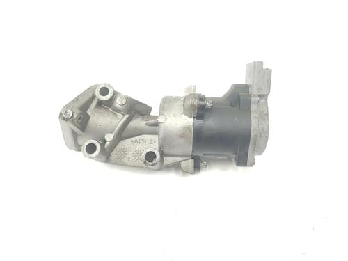 Egr LAND ROVER DISCOVERY III (L319) 2.7 TD 4x4 | BP13091724M69 