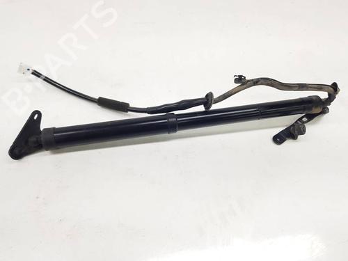 tailgate-lift-support-toyota-rav-4-iv-_a4_-2012-2013-2014-2015-2016-2017-2018-2019-40082712 main image