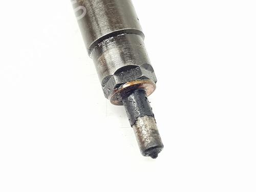 Injector LAND ROVER DISCOVERY III (L319) 2.7 TD 4x4 | BP22902357M100 
