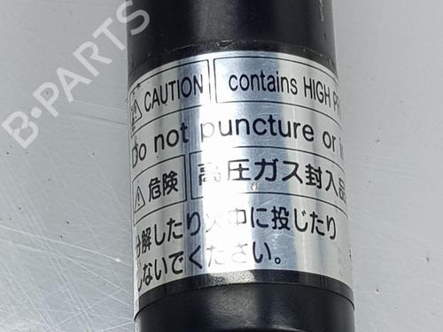 Hood lift support TOYOTA LAND CRUISER PRADO (_J12_) 3.0 D-4D (KDJ120, KDJ125) | BP17170819C139 