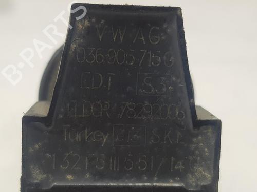 Ignition coil SEAT IBIZA IV (6J5, 6P1) 1.2 TDI | BP13524137M94 