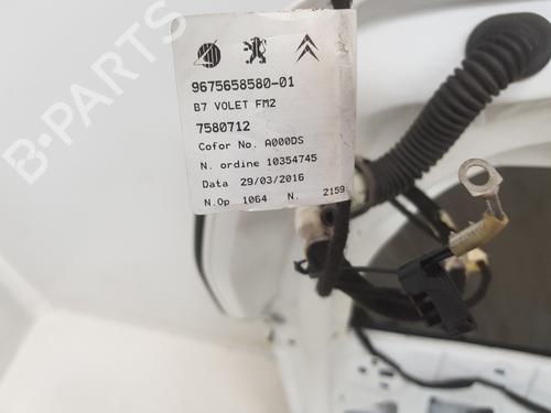 Tailgate CITROËN C4 II (NC_) 1.6 BlueHDi 100 | BP32234899C6