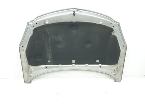 Hood OPEL INSIGNIA A (G09) 2.0 CDTI (68) | BP19084783C1 