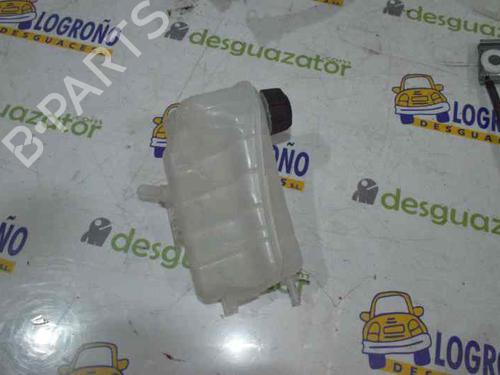 Expansion tank RENAULT KANGOO Express (FW0/1_) 1.5 dCi 75 (FW07, FW10, FW04) | BP1634356C120 