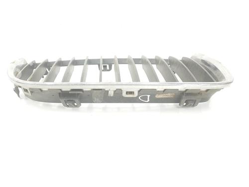 Grille BMW 3 (E90) 320 i | BP10991253C40 