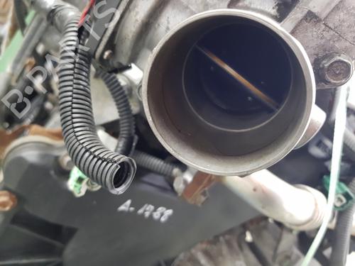 Engine NISSAN PATHFINDER III (R51) | BP29750867M1