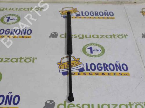 Tailgate lift support BMW 1 (F20) 118 d | BP14120665C138