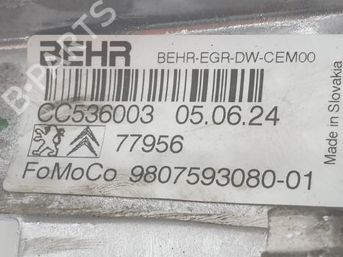 EGR-Ventil FORD USA EDGE 2.0 TDCi AWD | BP30753710M69