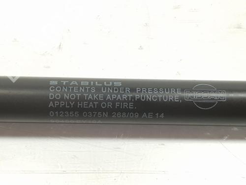 Tailgate lift support NISSAN QASHQAI / QASHQAI +2 I (J10, NJ10, JJ10E) 2.0 dCi | BP14102134C138 