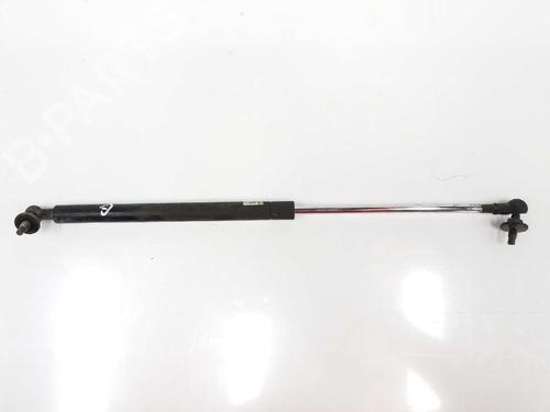 Used Hood lift support TOYOTA LAND CRUISER PRADO (_J12_) 3.0 D-4D (KDJ120, KDJ125) (163 hp) 14087558