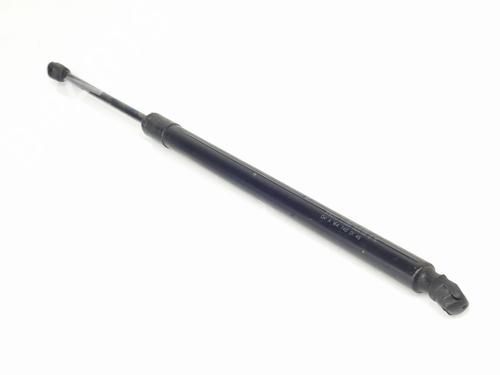 Tailgate lift support MERCEDES-BENZ M-CLASS (W164) ML 280 CDI 4-matic (164.120) | BP29244307C138 