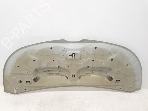 Hood RENAULT TRAFIC III Van (FG_) 1.6 dCi 140 (FGMA, FGMC) | BP30498556C1