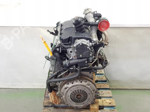 Used Engine SEAT IBIZA III (6L1) [2002-2009]  29270316
