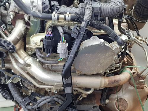 Engine TOYOTA HILUX VIII Pickup (_N1_)  | BP29729372M1 