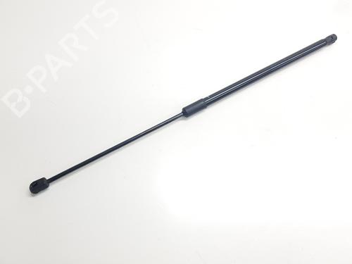 Tailgate lift support SKODA KAMIQ (NW4) 1.0 TSI | BP31346142C138