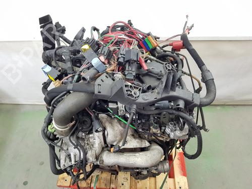 Engine RENAULT MASTER III Van (FV) 2.3 dCi 135 FWD (FV0N, FV08, FV06, FV00, FV1S) | BP36566736M1 - Image 16