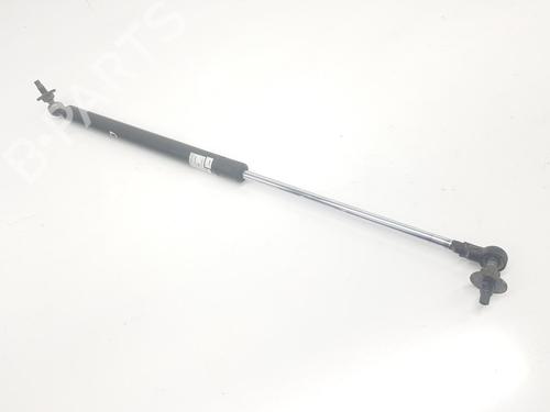 Hood lift support TOYOTA LAND CRUISER PRADO (_J12_) 3.0 D-4D (KDJ120, KDJ125) | BP16142197C139 