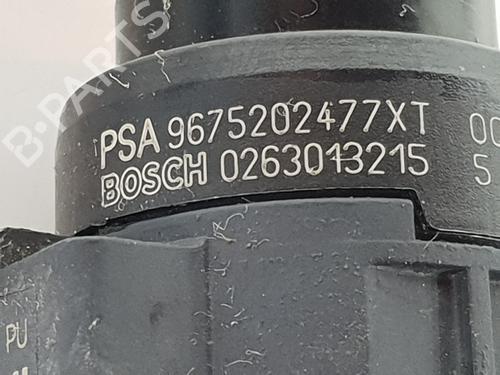 Other PEUGEOT 3008 II SUV (MC_, MR_, MJ_, M4_)  | BP29489677O1 