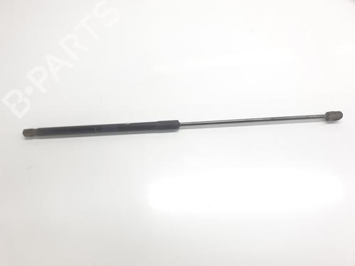 Used Tailgate lift support LAND ROVER RANGE ROVER EVOQUE (L538) [2011-2019]  29333148