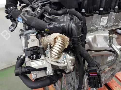 Engine LAND ROVER RANGE ROVER VELAR (L560)  | BP29755400M1 