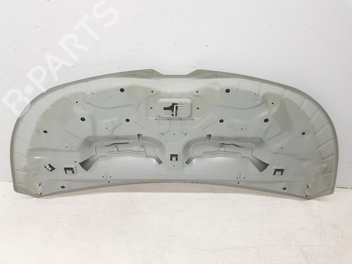 Hood RENAULT TRAFIC III Van (FG_) 1.6 dCi 140 (FGMA, FGMC) | BP30498450C1
