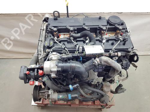 Used Engine Engine 36185908 36185908