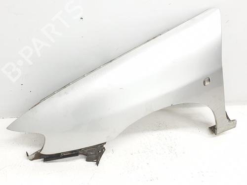 Left front fenders SEAT IBIZA II (6K1) 1.9 D | BP17904871C41 