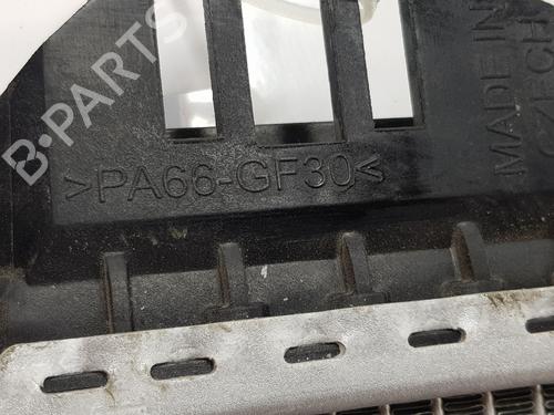 Water radiator VW CRAFTER Platform/Chassis (SZ_)  | BP29534940M31 