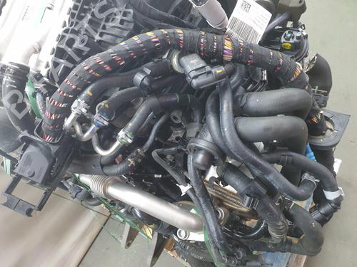 Engine VW TRANSPORTER T6 / CARAVELLE T6 Bus (SGB, SGJ, SHB, SHJ) 2.0 TDI | BP28386916M1 