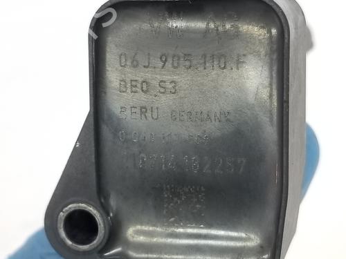 Ignition coil VW GOLF VII (5G1, BQ1, BE1, BE2) 2.0 GTI | BP10257346M94 