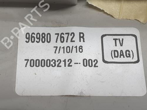 Plafonier RENAULT KADJAR (HA_, HL_) 1.6 dCi 130 4x4 (HLA4) | BP31265074I8