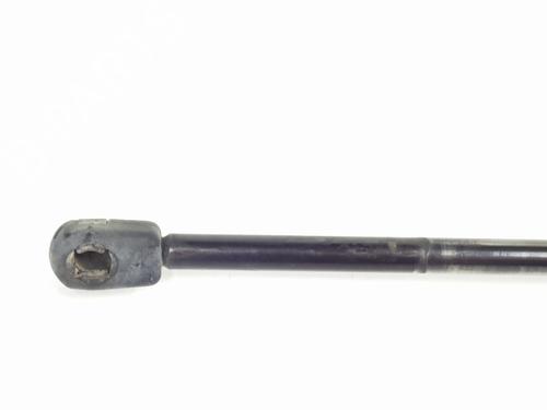 Tailgate lift support LAND ROVER RANGE ROVER SPORT I (L320) 2.7 D 4x4 | BP27475156C138 