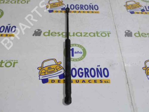 Tailgate lift support BMW 1 (E87) 120 d | BP14121137C138 