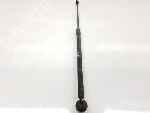Used Hood lift support RENAULT MEGANE III Hatchback (BZ0/1_, B3_) 1.6 16V (BZ0H) (101 hp) 16541416