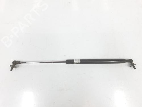 Hood lift support TOYOTA LAND CRUISER PRADO (_J12_) 3.0 D-4D (KDJ120, KDJ125) | BP14098447C139 