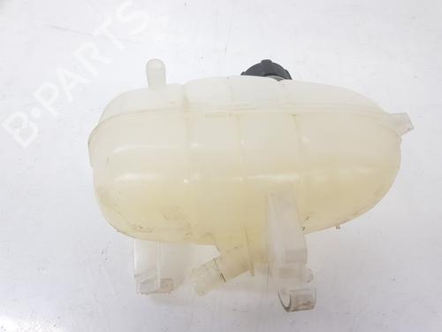 Expansion tank RENAULT TRAFIC III Van (FG_) 1.6 dCi 120 (FGMK) | BP9157240C120 
