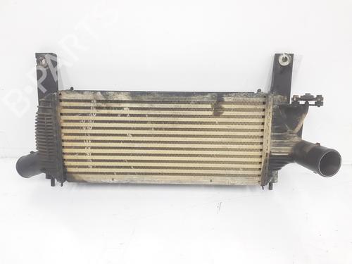 Used Intercooler NISSAN PATHFINDER III (R51) 2.5 dCi 4WD (171 hp) 10412689