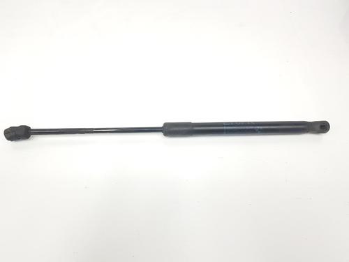 Used Hood lift support BMW X5 (E70) xDrive 30 d (211 hp) 14091426