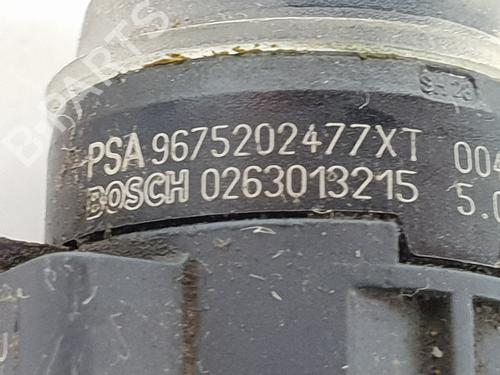 Other PEUGEOT 3008 II SUV (MC_, MR_, MJ_, M4_)  | BP29489679O1 