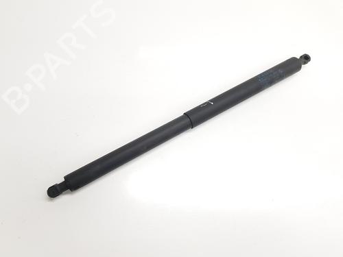 Used Tailgate lift support BMW X1 (F48) sDrive 18 d (150 hp) 29313332