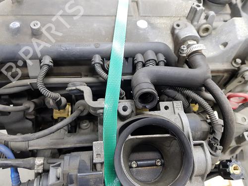 Engine FIAT PANDA (169_) 1.2 (169.AXB11, 169.AXB1A) | BP38037899M1 - Image 5