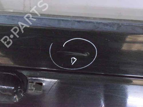 Right front door LAND ROVER RANGE ROVER II (P38A) 2.5 D 4x4 | BP795996C3 