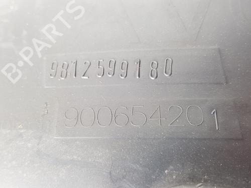 Wheel arch CITROËN C4 Picasso II 1.6 HDi / BlueHDi 115 | BP23234630C56 