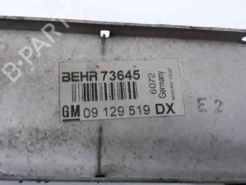 Intercooler OPEL ZAFIRA A MPV (T98) 2.0 DTI 16V (F75) | BP5581177M30 