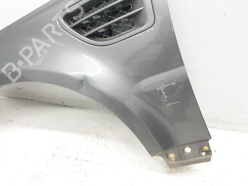 Left front fenders LAND ROVER RANGE ROVER SPORT I (L320) 2.7 D 4x4 | BP20195847C41 