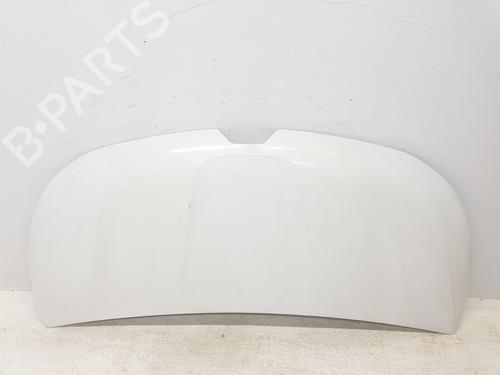 Panser RENAULT TRAFIC III Van (FG_) 1.6 dCi 140 (FGMA, FGMC) (140 hp) 30498388