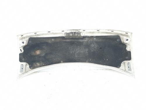 Hood FORD TRANSIT Van (FA_ _) 2.0 DI (FAE_, FAF_, FAG_) | BP18971200C1 