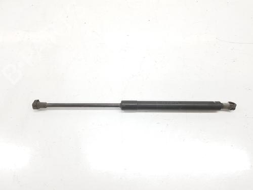 Hood lift support BMW 1 (E87) 118 d | BP14119604C139 