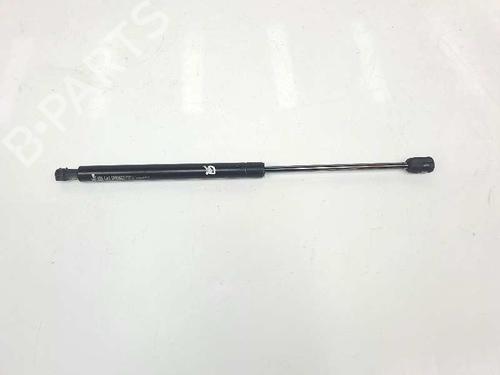Used Hood lift support LAND ROVER RANGE ROVER SPORT I (L320) 3.6 D 4x4 (272 hp) 14083260