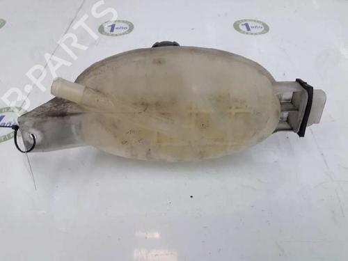Used Expansion tank NISSAN PRIMASTAR Van (X83) 2.0 dCi 115 (114 hp) 3376071